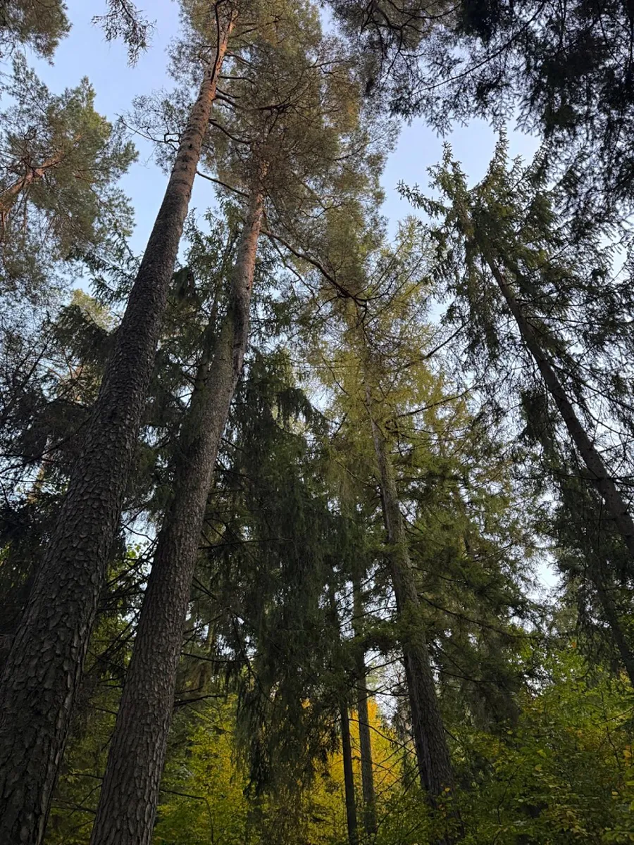 Fotka 6 z 14